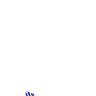 Wordpress Development